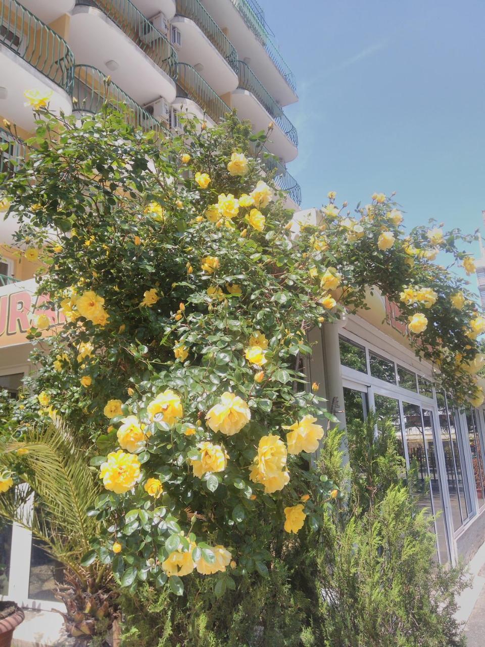 Hotel Yantra Sunny Beach Eksteriør billede
